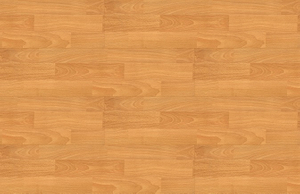  Normal Laminate Floor - D270