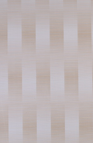 Druckreihe Serie-303g