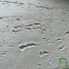 Flexible tiles - travertine tiles