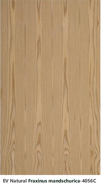 Acoustic Slat Wall Panel - EV Natural Fraxinus mandschurica-4056C