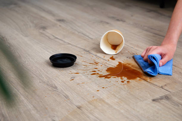 iStockphoto-1491473839-612x612