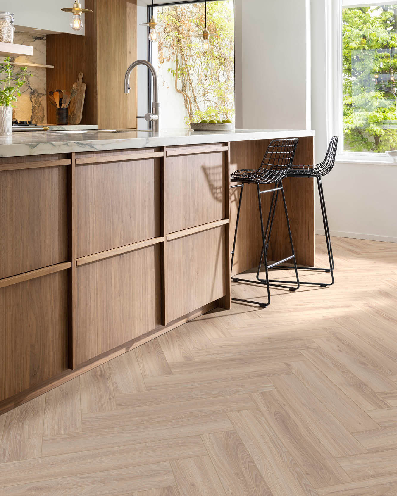 Blackjack Oak 22210_1250x1000
